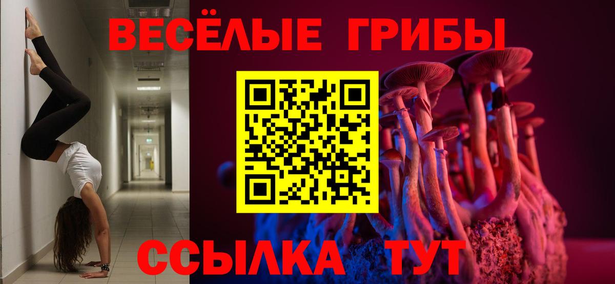 Псилоцибиновые грибы Psilocybe  Псилоцибиновые грибы Psilocybe  Волгоград  Вход с VPN 